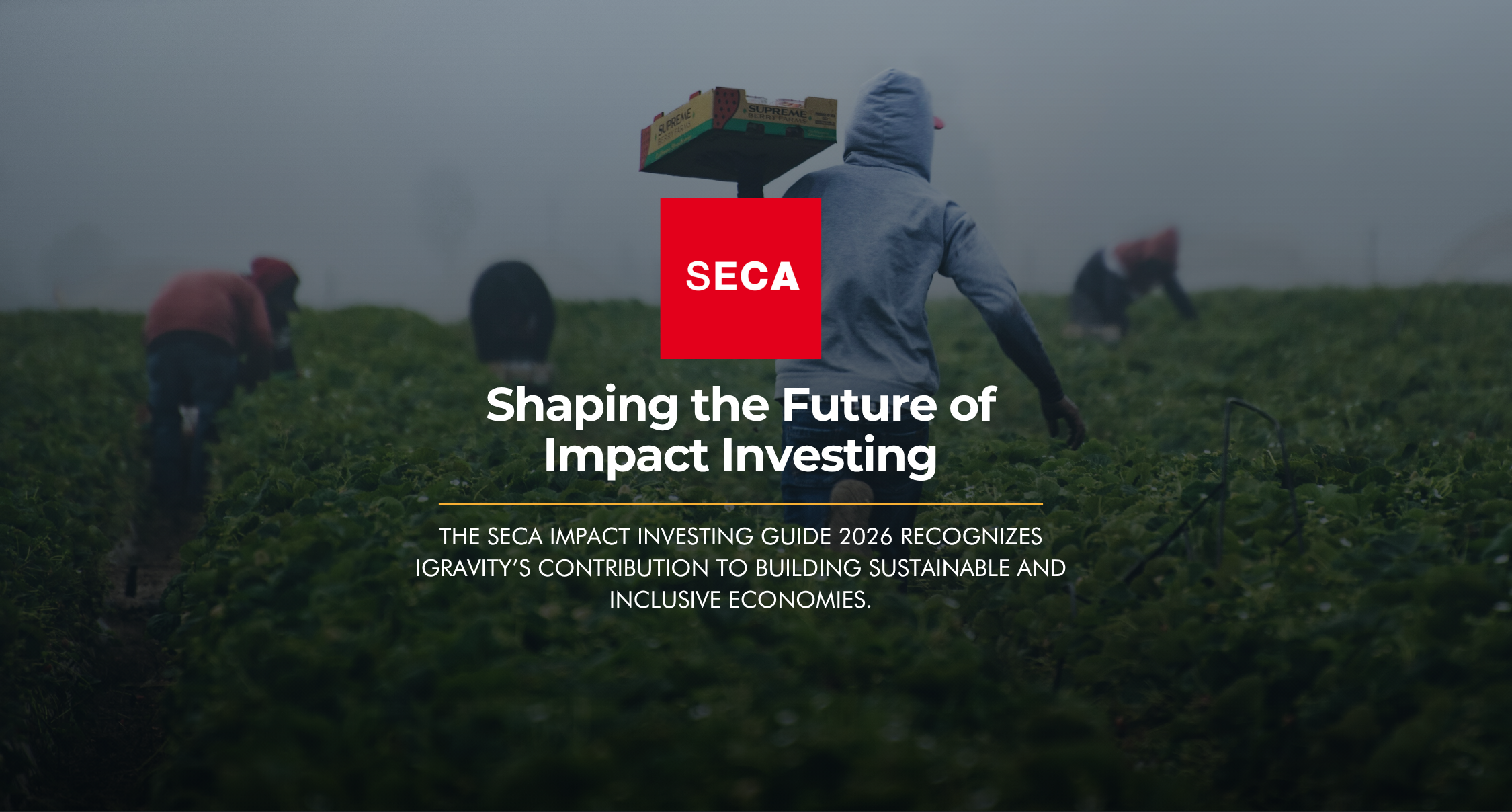 iGravity Featured in SECA