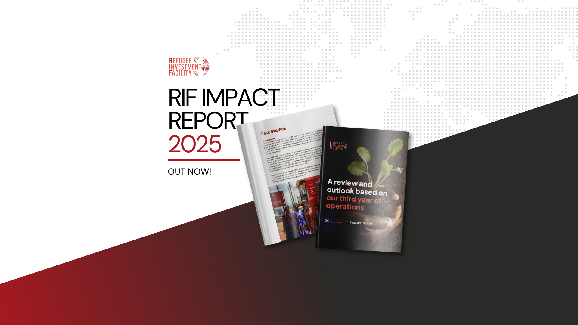 RIF Impact Report 2025