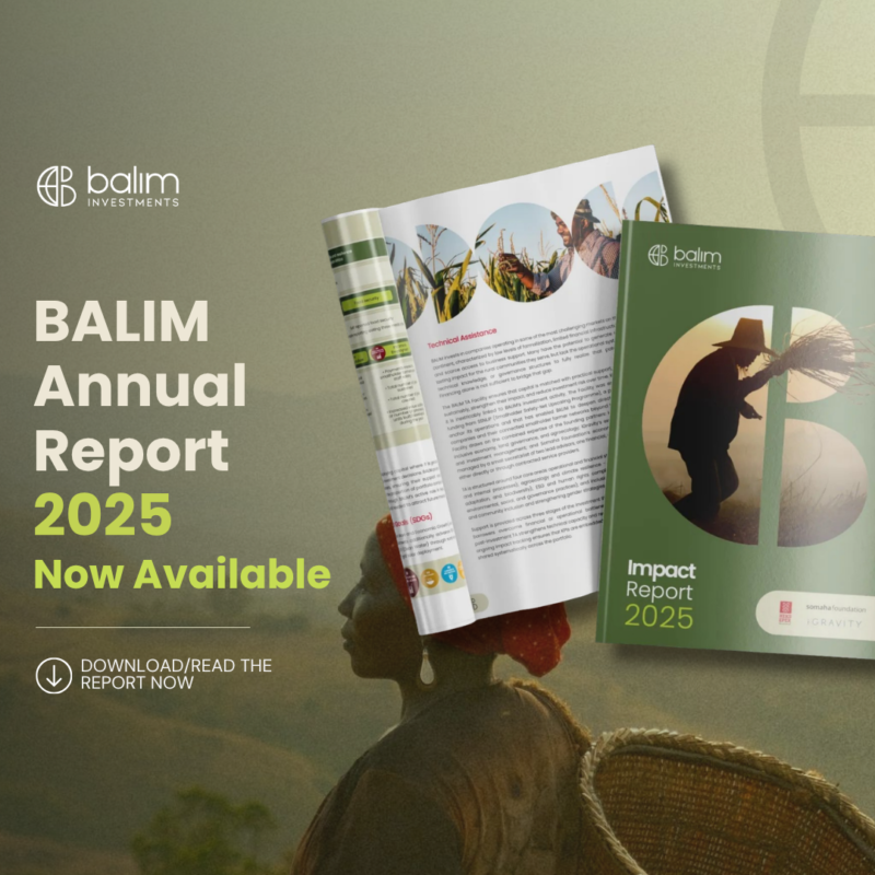 BALIM Annual Report 2025
