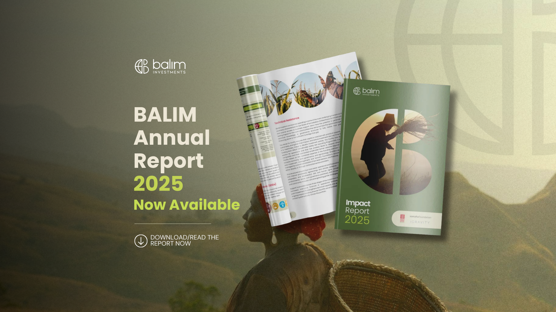 BALIM Annual Report 2025