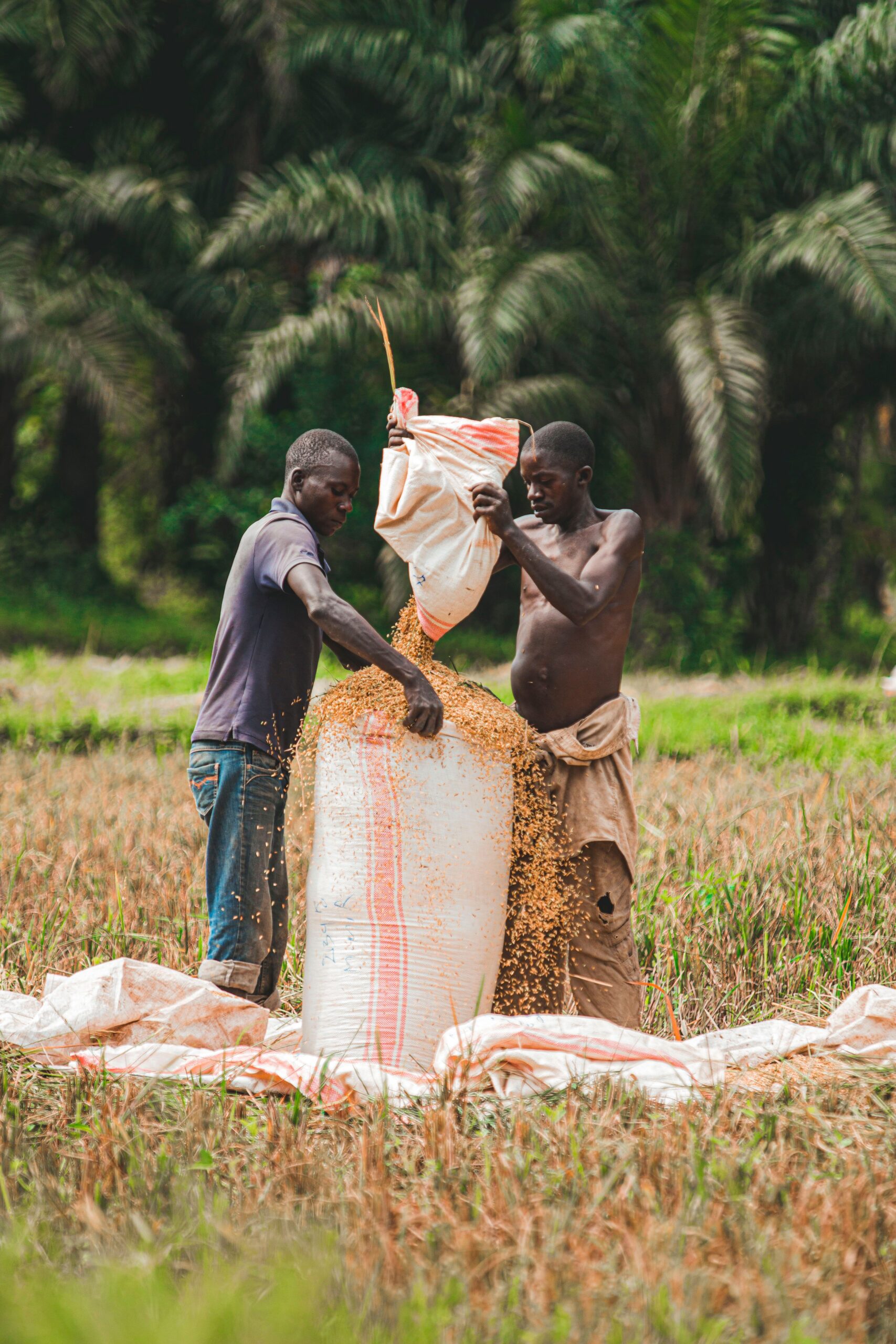Agricultural work in Uganda